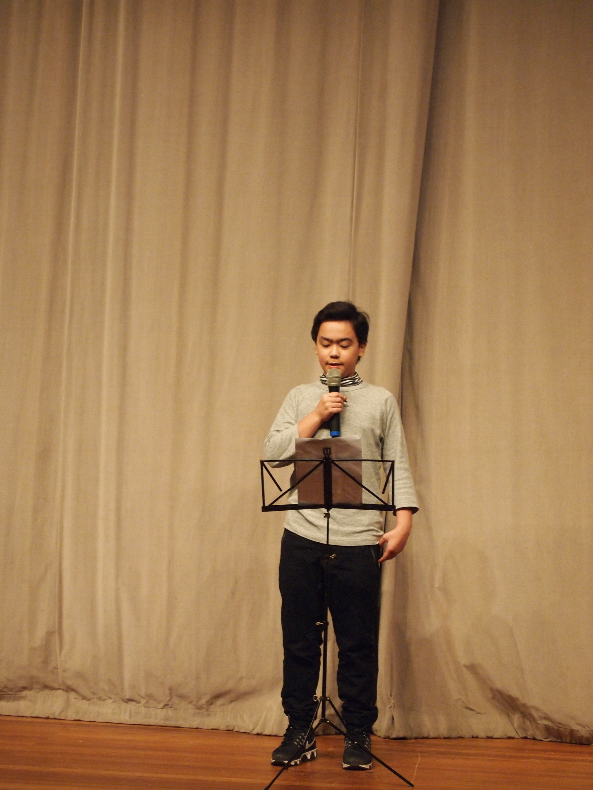 Guzheng Performance