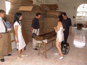 20040824493