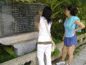 20040825385