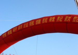 20070808399
